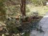 Tiger I, Sd.Kfz.251, FAMO Sd.Kfz.9 [1496 views] [Current rating 0 : Average]