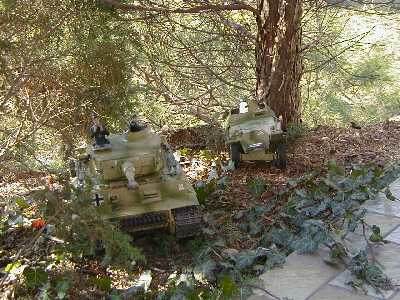 Tiger I und Sd.Kfz.251