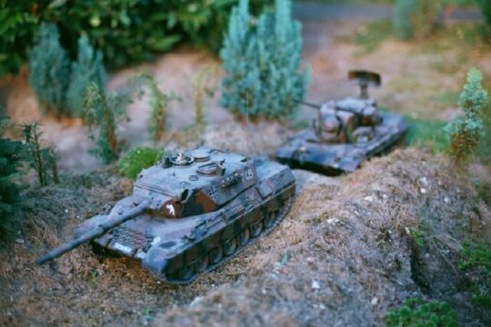 Leo 1 A4 (RC) und Gepard (1:16, in Plastik)