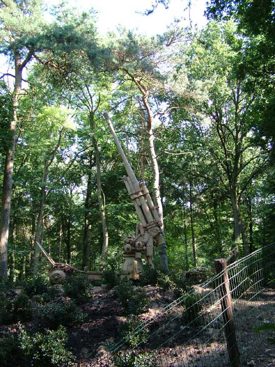 Bild 133.jpg